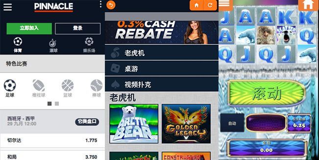 平博VIP编号