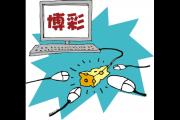猖獗!网络BC诈骗卷走3000多万 专家提醒:要小心提防