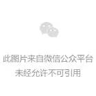 金融理财收益高？“谨防股票大骗局”