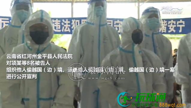 云南金平法院对项某等8名被告人组织他人偷越国（边）境罪一案进行公开宣判