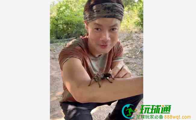 yue了，新加坡明星到柬埔寨吃狼蛛：味道像软壳蟹