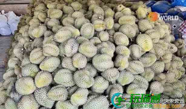从柬埔寨走私8吨多榴莲到泰国，涉案人员被抓