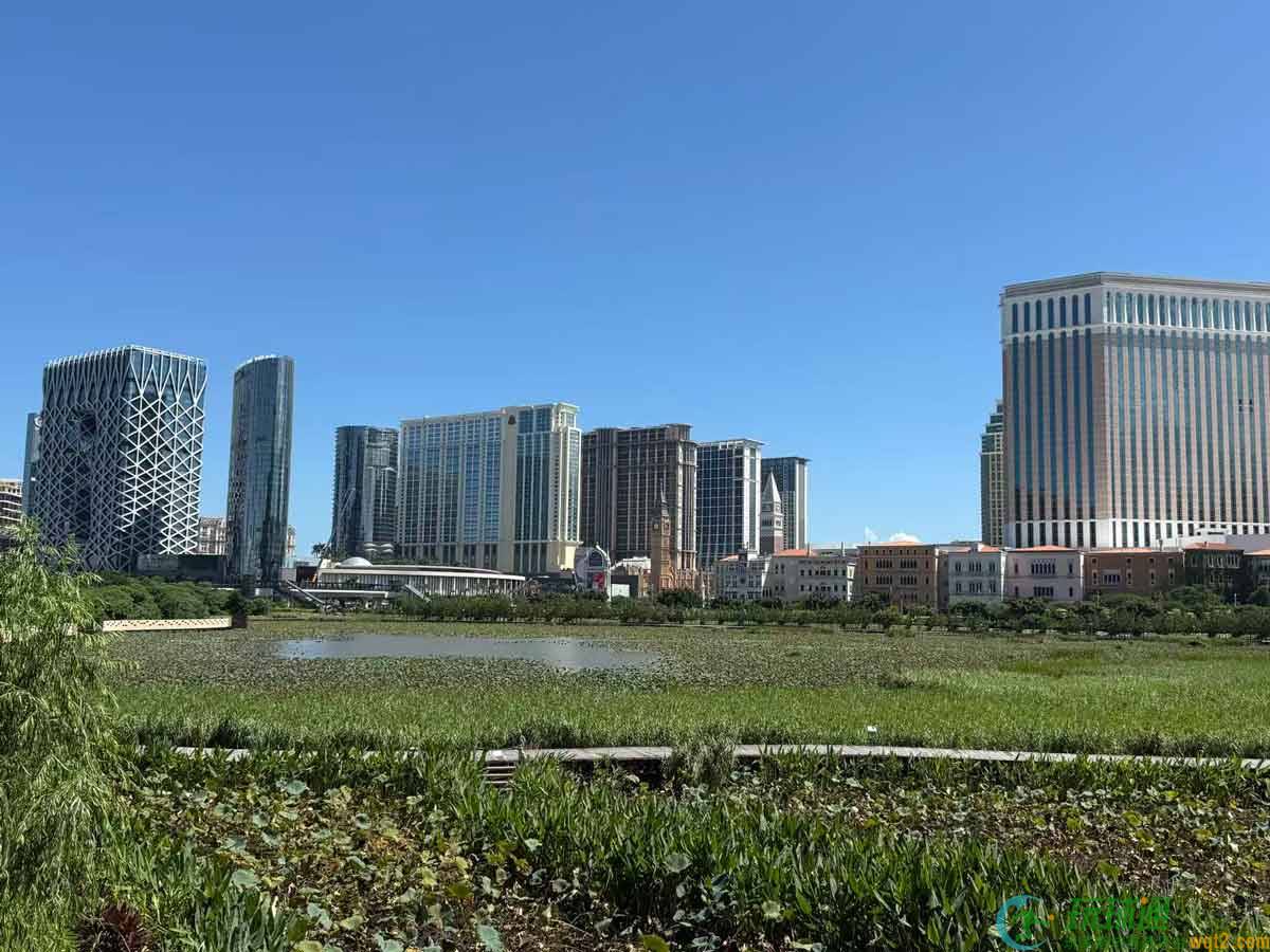 世邦魏理仕：2026上半年全澳BC佣金佔BC收入比例创新高 市场推广竞争激烈