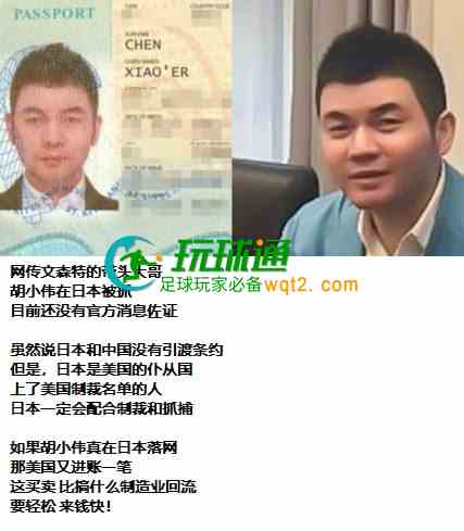 太子集团胡小伟大阪被捕涉多重身份
