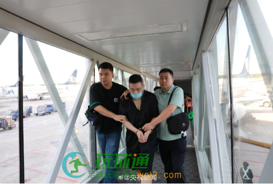 跨国追逃！山东省公安机关赴越南押解“银狐”木马案首犯回国